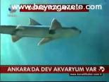 Ankara'da Dev Akvaryum Var