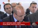 2011 Bütçesi Umut Verdi