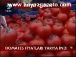 Domates Fiyatı Yarıya İndi