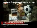 Ahtapot Paul Artık Yok