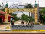 Endonezya'da Tsunami