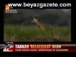 Tarkan Belgeselci Oldu