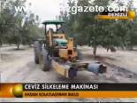 Ceviz Silkeleme Makinası