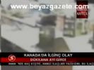 Kanada'da İlginç Olay