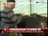 Kurbanlıklar İstanbul'da
