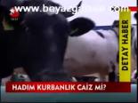 Hadım Kurbalık Caiz Mi ?