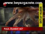 Paul Ölmedi Mi?