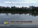Barajlarda Doluluk Oranı