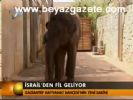 İsrail'den Fil Geliyor