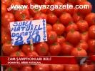 Zam Şampiyonları Beli