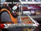 Zam Şampiyonu Domates