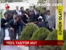 Yeşil Yaşıyor Mu?