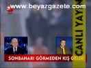 Sonbaharı Görmeden Kış Geldi