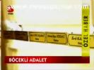 Böcekli Adalet