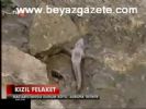 Kızıl Felaket