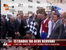 İstanbul'da Deve Kervanı