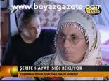 Şerife Hayat Işığı Bekliyor