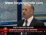 Kışta Bahar Havası