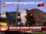 Anguslar Kurban Pazarında