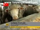 Kurban Fiyatları