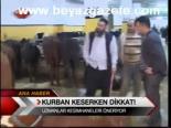 Kurban Keserken Dikkat