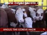 Angus Timi Göreve Hazır