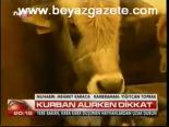 Kurban Alırken Dikkat