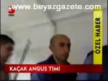 Kaçak Angus Timi