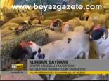 Kurban Pazarında Hareketlilik