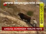 Angusa Schengen Yerliye Veto