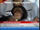 Şenpanzeler Alışverişte