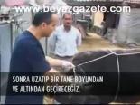 Kurban Devirme Tekniği