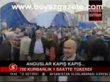 Anguslar Kapış Kapış
