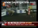 Boğa Tribüne Daldı
