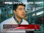 Angus'a Dikkat!