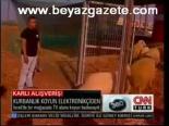 Kurbanlık Koyun Elektronikçiden