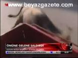 Önüne Gelene Saldırdı