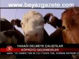 Yasağı Delmeye Çalıştılar