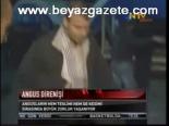 Boğa Denize Kaçtı