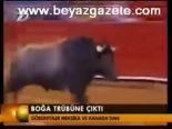 Boğa Tribüne Çıktı