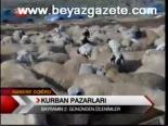 Kurban Pazarları