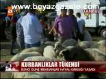 Kurbanlıklar Tükendi
