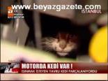 Motorda Kedi Var!