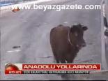 Anadolu Yollarında