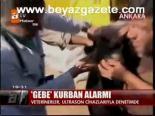 Gebe Kurban Alarmı