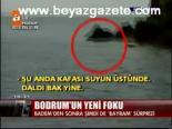 Bodrum'un Yeni Foku