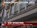 Kedi Operasyonu