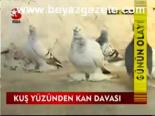 Kuş Yüzünden Kan Davası