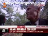 Hangi Mantar Zehirli?