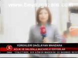 Yürekleri Dağlayan Manazara